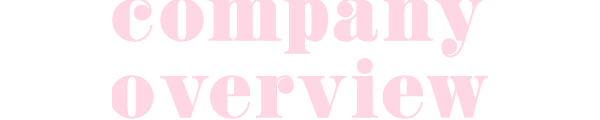 company overview